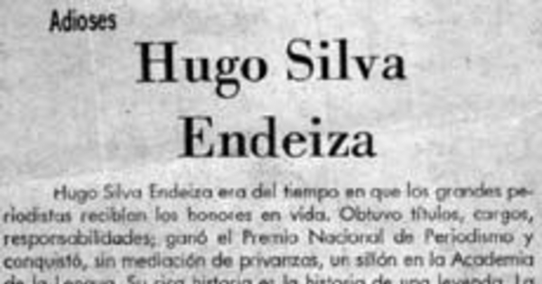 Hugo Silva Endeiza