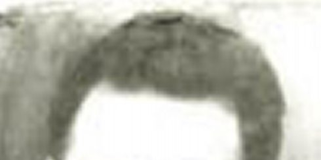 Abelardo Paschín Bustamante, 1888-1934