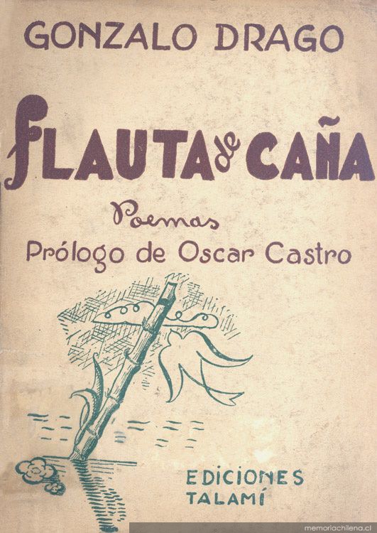 Flauta de caña