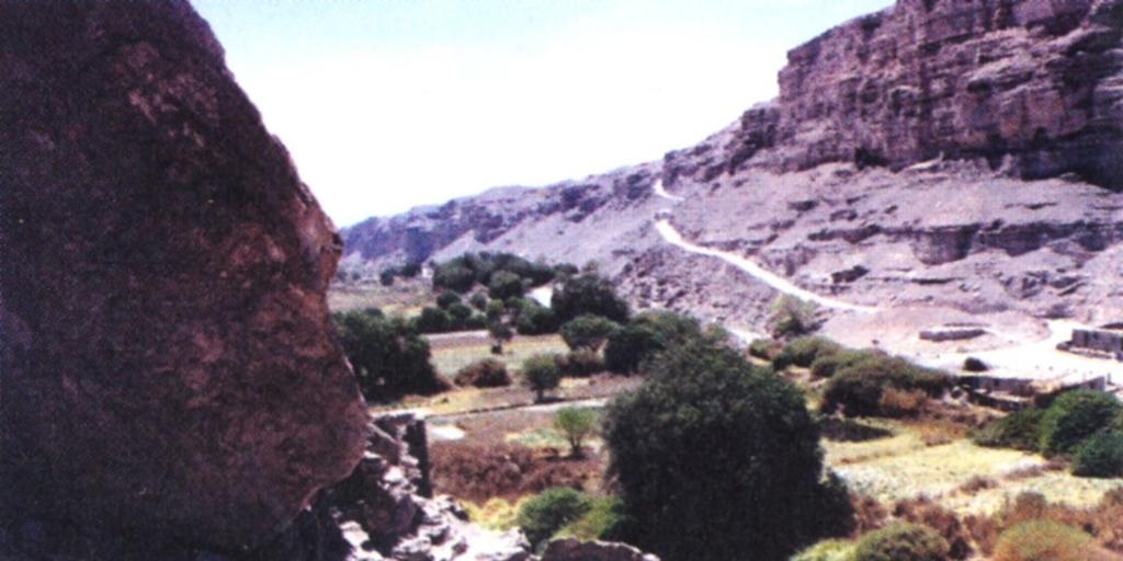 Vista del Valle de Lasana