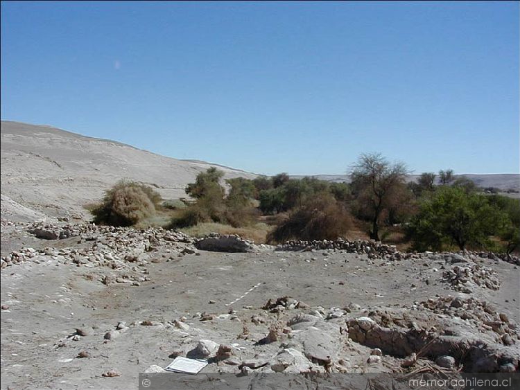 Aldea La Capilla, Oasis de Quillagua