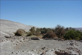 Aldea La Capilla, Oasis de Quillagua