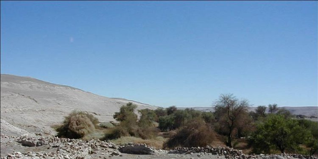 Aldea La Capilla, Oasis de Quillagua