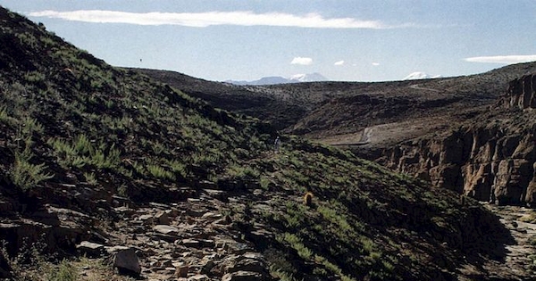 Camino Inca que conduce a Cerro Verde, Caspana