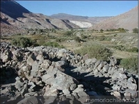 Valle de Camiña, I Región de Tarapacá