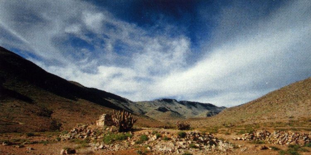 Ushnu de Saguara