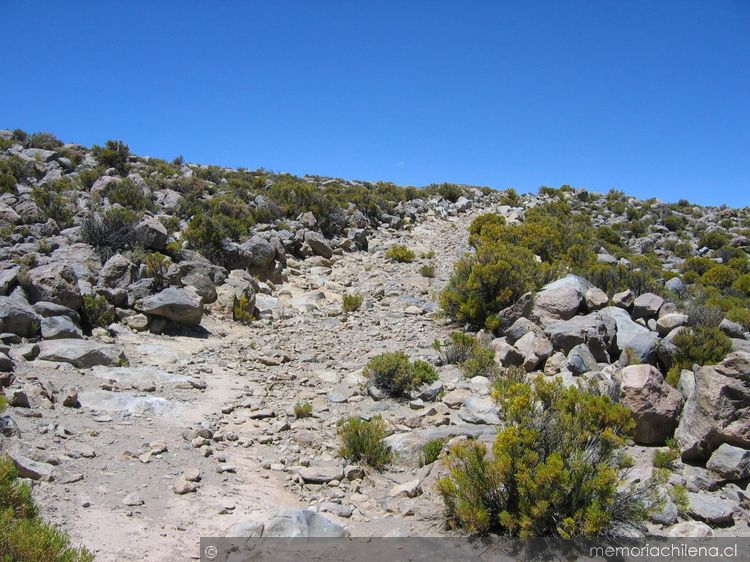 Camino de acceso a Choquecollo, Enquelga, sector Isluga