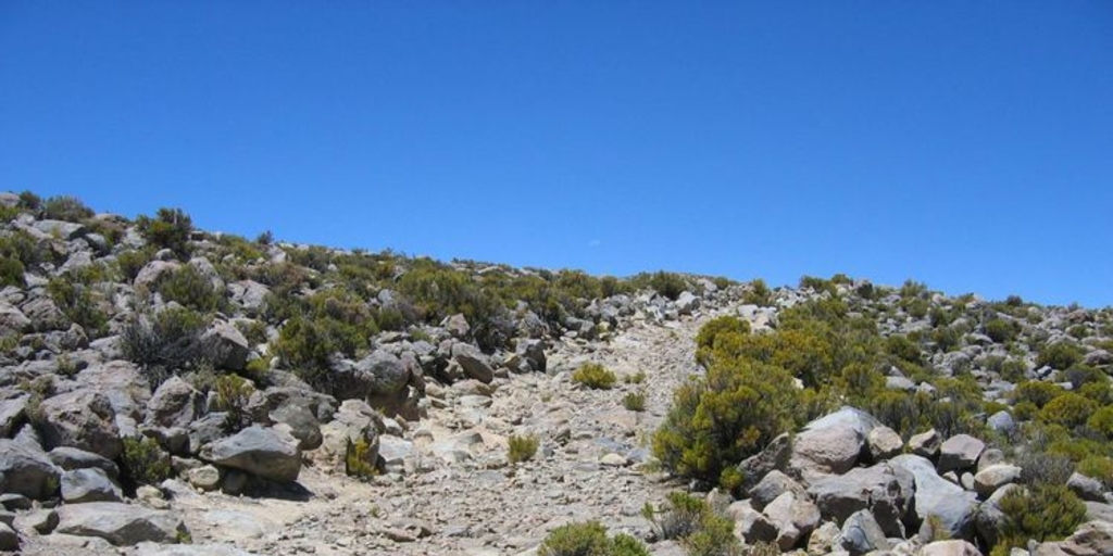 Camino de acceso a Choquecollo, Enquelga, sector Isluga