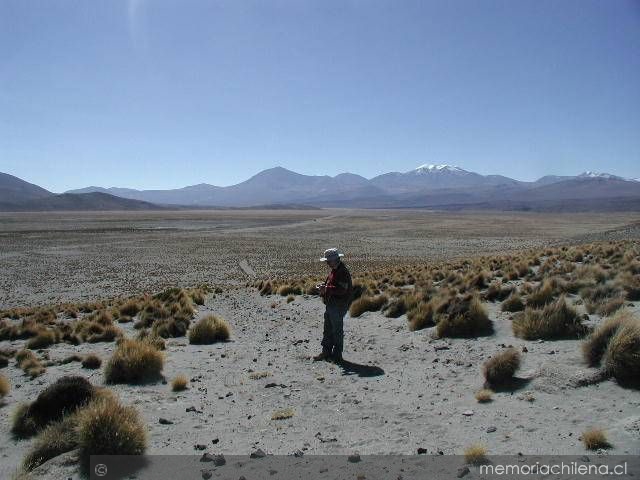 Registro arqueológico de camino despejado en el altiplano de Tarapacá, I Región de Tarapacá