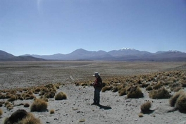 Registro arqueológico de camino despejado en el altiplano de Tarapacá, I Región de Tarapacá