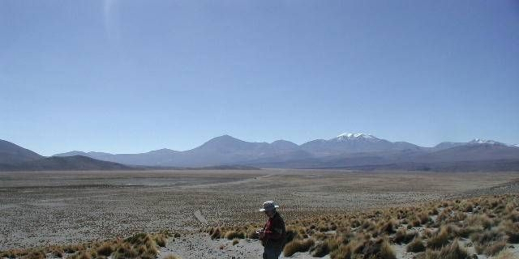 Registro arqueológico de camino despejado en el altiplano de Tarapacá, I Región de Tarapacá