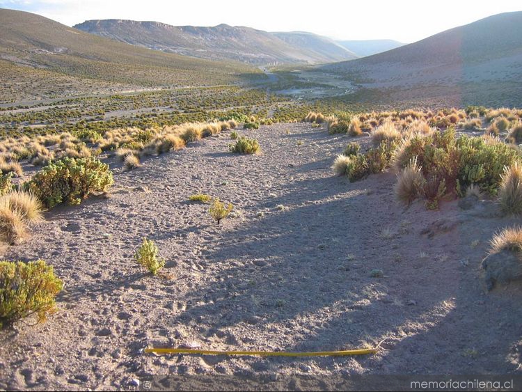 Camino despejado en el sector de Quebe, I Región de Tarapacá