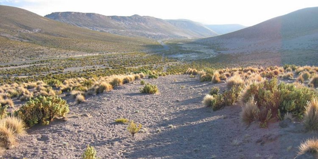 Camino despejado en el sector de Quebe, I Región de Tarapacá