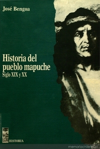 Las agrupaciones mapuches en el siglo XIX