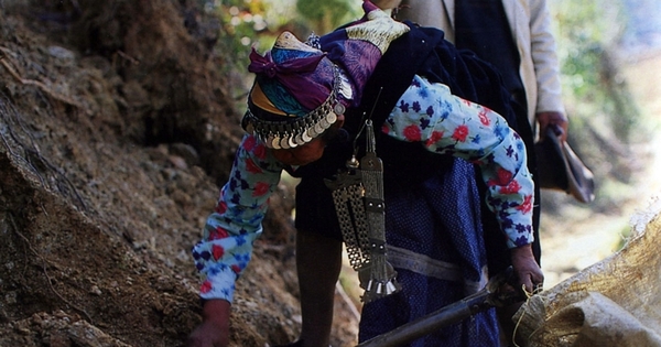 Mujer mapuche recolectando hongos y hierbas medicinales