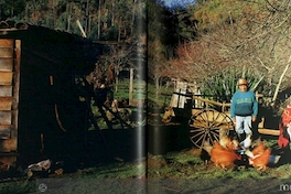 Matrimonio Mapuche