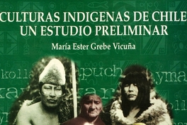 Cultura mapuche