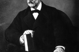 Miguel Luis Amunátegui, 1828-1888