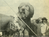 Payasos junto a elefante, 1956