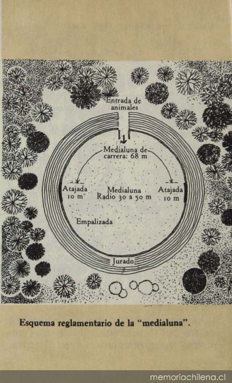 Esquema reglamentario de la medialuna