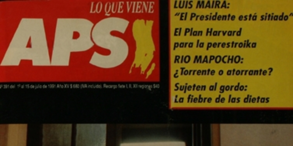 Apsi: n° 391-399, 1 de julio a septiembre de 1991