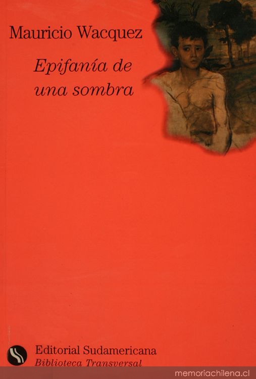 Epifanía de una sombra