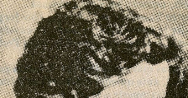 Armando Rubio, 1979