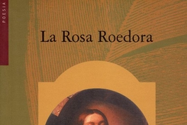 La Rosa roedora