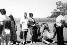 Luis Hernández Parker junto a su esposa, María Inés Solimano, 1973