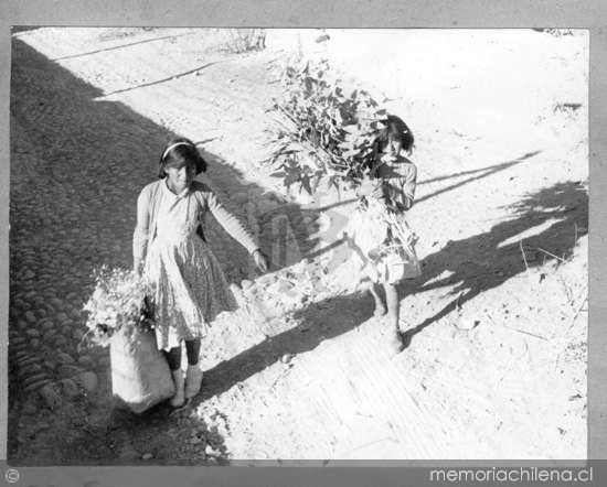 Niñas transportando flores, en el norte de Chile