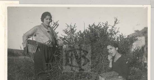 Dos niñas recolectando moras