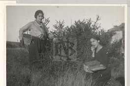 Dos niñas recolectando moras