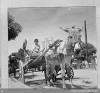 Niño manejando una carretela