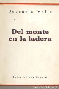 Del monte en la ladera