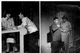 Vargas Llosa, bien adaptado