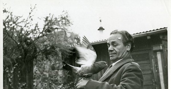 Nicanor Parra sostiene una paloma en su brazo
