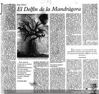 El delfín de la mandrágora