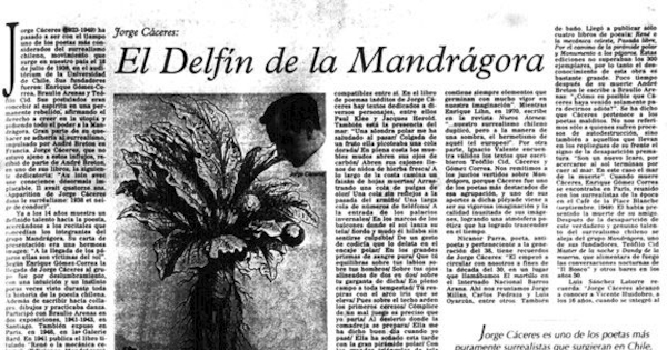 El delfín de la mandrágora