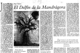 El delfín de la mandrágora