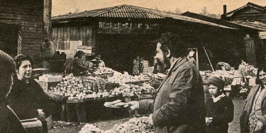 Alfonso Alcalde en la Vega de Lota, 1972