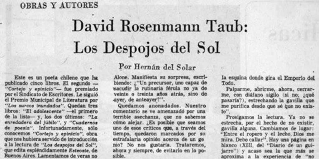 David Rosenmann Taub, los despojos del sol
