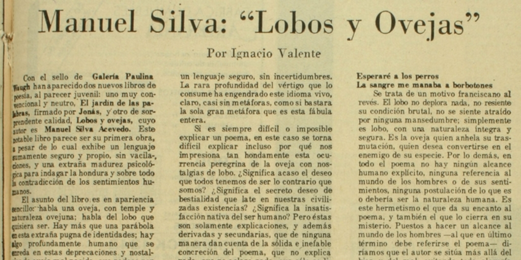 Manuel Silva: "lobos y ovejas"