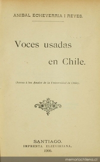 Voces usadas en Chile