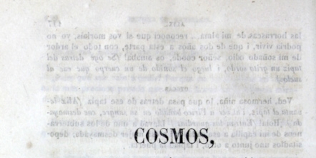 Cosmos
