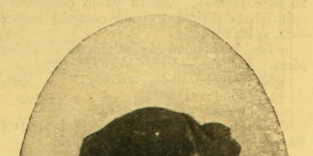 Sara del Campo de Montt (1855-1927)