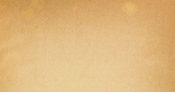 Viaje en torno al mundo por un chileno: julio 1880-julio 1882: tomo I