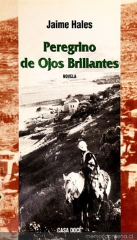 Peregrino de ojos brillantes : novela