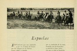 Espuelas