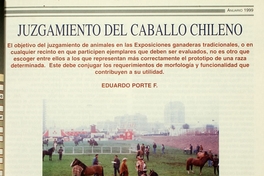 Juzgamiento del caballo chileno