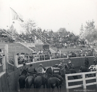 Rodeo a la chilena